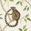 Ringtailed Lemur Wallpaper-50889033
