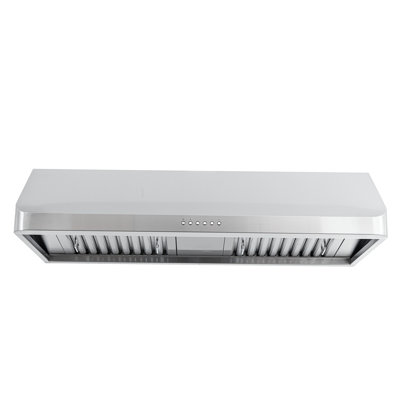 Hotte murale professionnelle PROLINE 42 pouces PROLINE, 900 CFM, acier inoxydable, L
