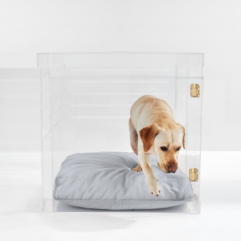 Medium Clear View Pet Crate with Silver Latch, Khaki Cushion, Gold, Large, Blush