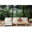 Murmures de la forêt tropicale émeraude-298455385