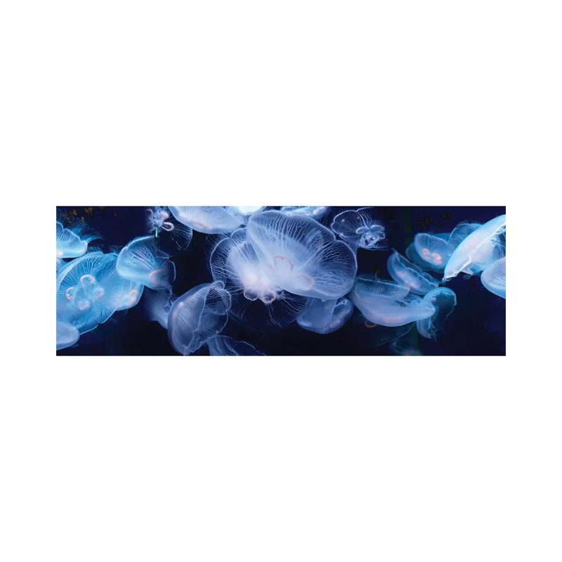 Jellyfish Swimming Underwater - Wrapped Canvas Panoramic Print, 30.48 cm H x 91.44 cm W x 3.175 cm D