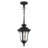 Courteau Outdoor Pendant-826466362-826466361
