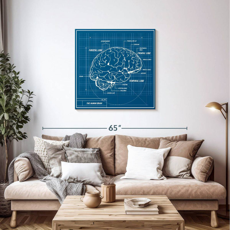 Keiri Human Brain Blueprint, 36" H x 36" W