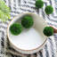 Lynne Decorative Bowl 1