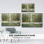 Forest Path encadré sur toile-94360473-94360474