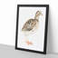 A Quail by Johan Teyler - Single Picture Frame Painting-55450944-55450945