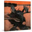 Swimming Moose by Marmont Hill - Wrapped Canvas Painting-17852130