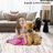Machine Washable Rug with Rubber Backing for Living Room Modern Non-Slip Dining Room Rug Easy-Cleaning Floor Carpet for Bedroom Office Playroom-1620544136