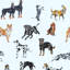 Dog Days - Wallpaper-544389415-544389418-536905741