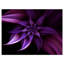 «Fractal Flower Mauve», impression-35125079-35125069