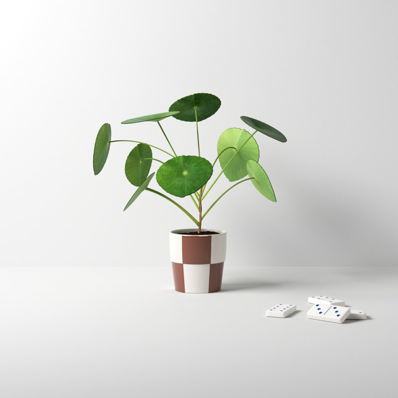 Caitlin Ceramic Pot Planter, 3.25" H x 3.25" W x 3.25" D