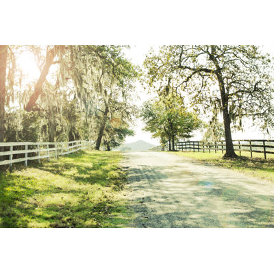 Empty, tree-lined country road in summer or autumn season. 638454522