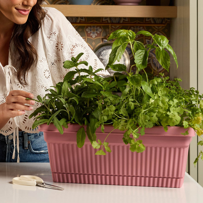 Boîte à fleurs en plastique avec plateau à soucoupe Vaneka, Rose