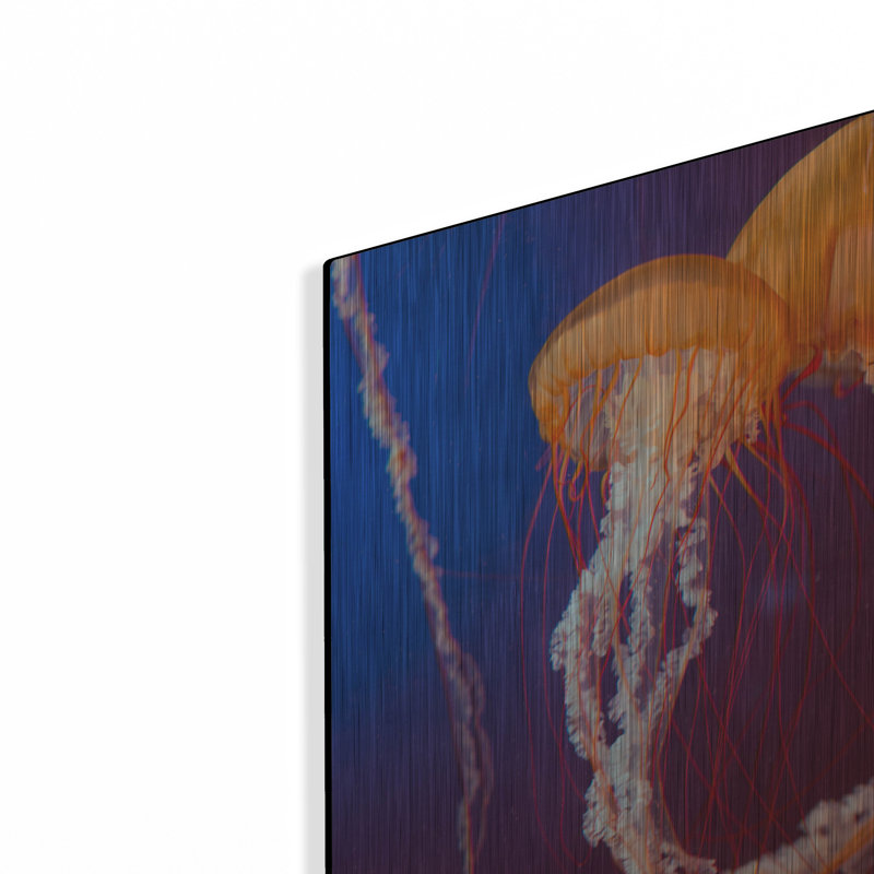 «Jelly 3» par PhotoINC Studio, H 24 po x l 16 po