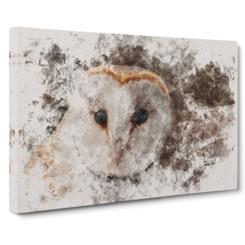 Barn Owl Vol.1 - Wrapped Canvas Print, 50cm H x 76cm W x 3cm D