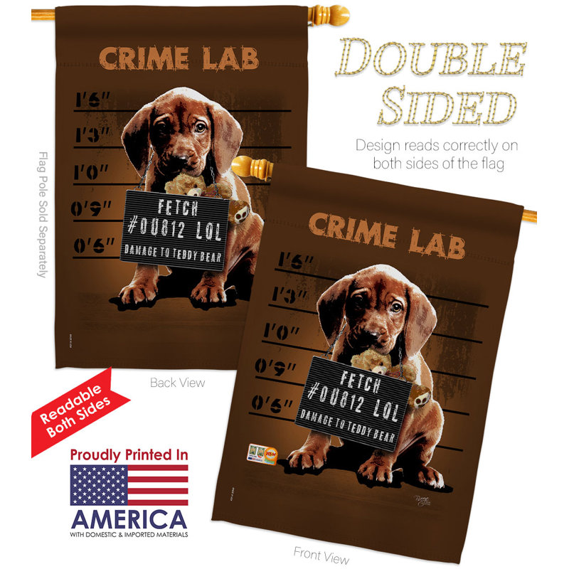 Drapeau de maison 40 po x 28 po en polyester Crime Lab