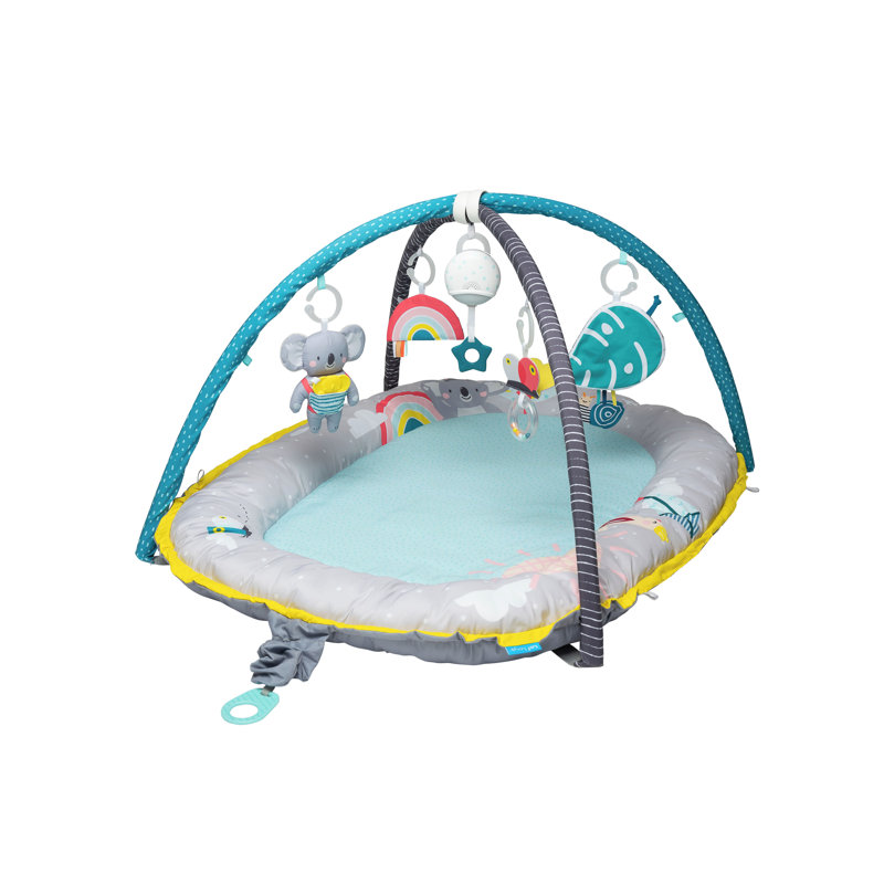 Baby Gym Mat