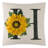 Appliqued Pillow Cover
