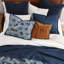 Ensemble de courtepointe en coton Tasha Polizzi-112094447-112686255