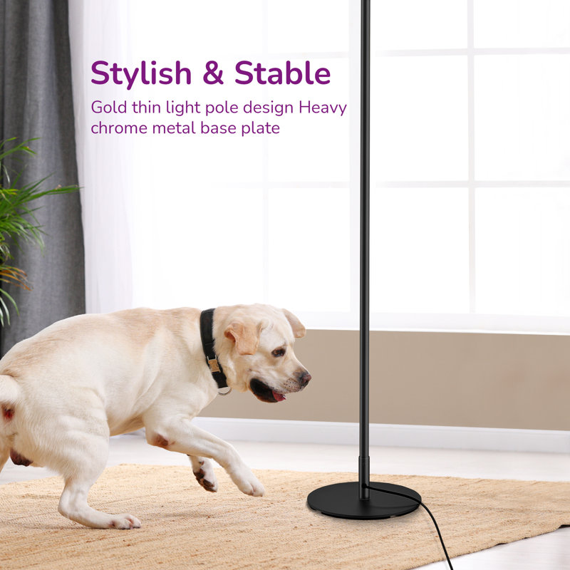 57.5" Led Dimmable Corner Floor Lamp With Remote Control