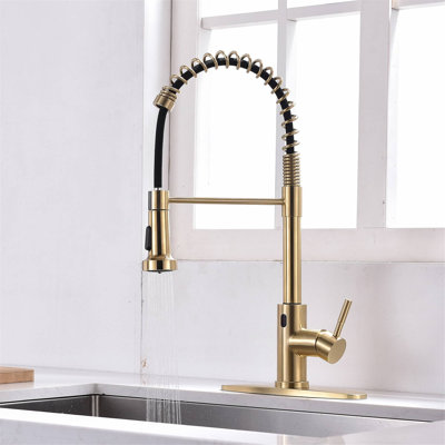 Robinet de cuisine extractible à poignée simple avec douchette extractible et robinet à un trou