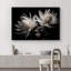 «Flower Amaryllis» sur toile-99543241