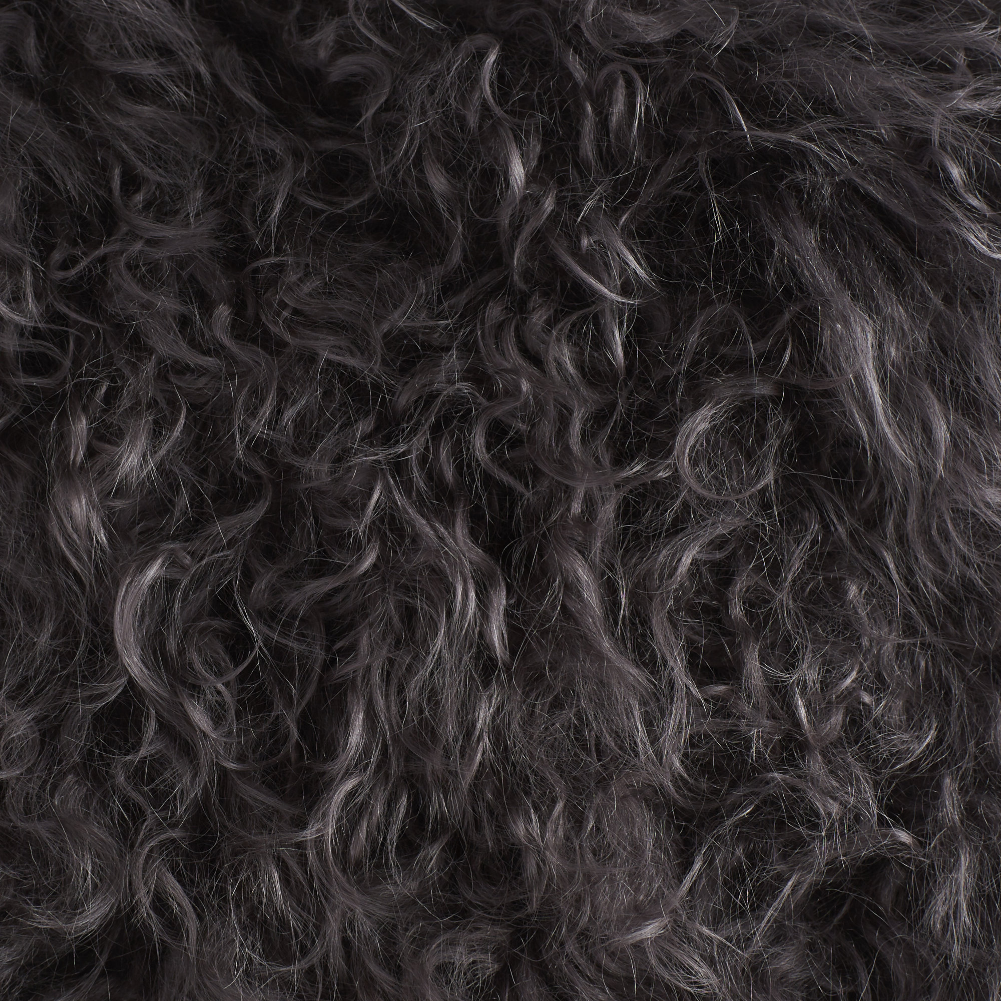 Iyana Wool Throw Pillow, Dark Gray, Square 20"