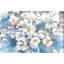 «Spring Blossom», reproduction d'art sur toile tendue-450625316-529293168