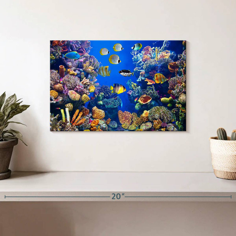 Teeming underwater life Aletra, H 8 po x l 12 po