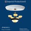 Médaillon de plafond