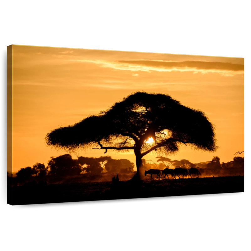 Silhouette d'acacia Harnek Amboseli, H 20 po x l 30 po