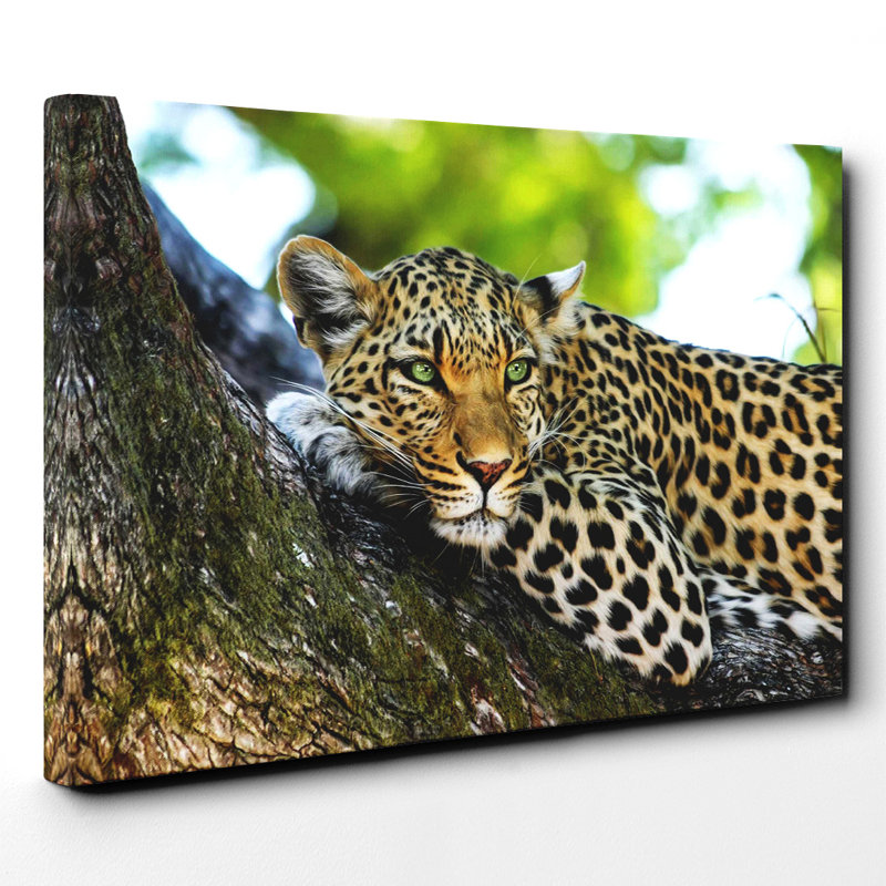 Leopard - Wall Art, 35cm H x 50cm W