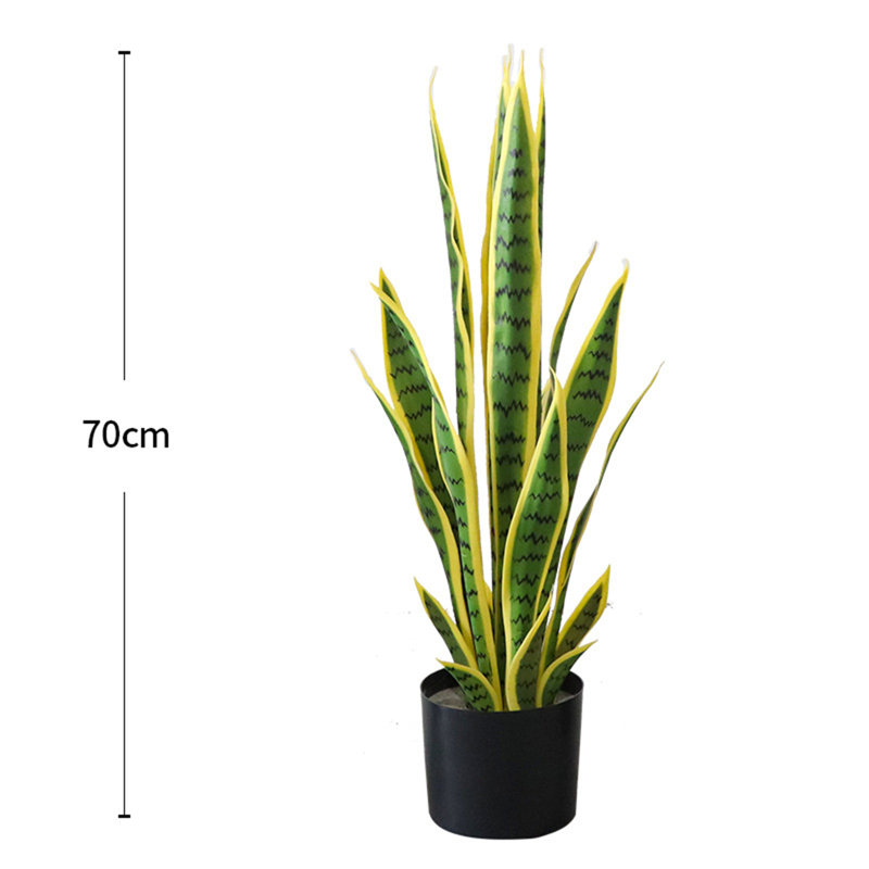 Plant, 70cm H x 15cm W x 105cm D