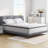 Alwyn Home Wellsville 12" Memory Foam Hybrid Spring Mattress with Edge Support In a Box-1348824184