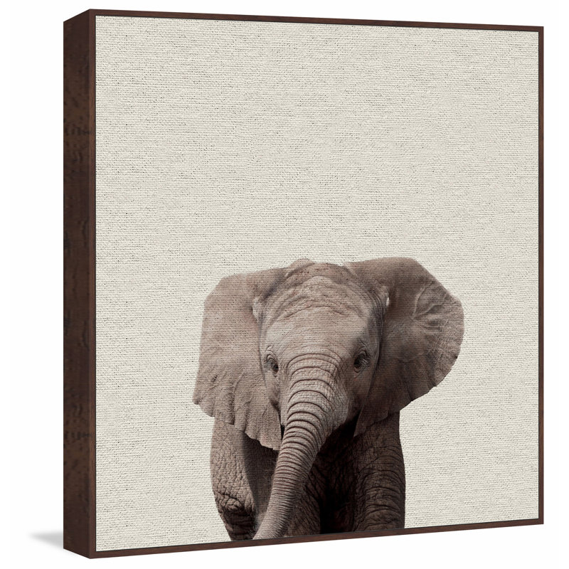 Elephant Surprise - Drawing on Canvas, 122cm H x 122cm W x 4cm D