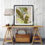 Rainforest II ', peinture-29162286-33458490