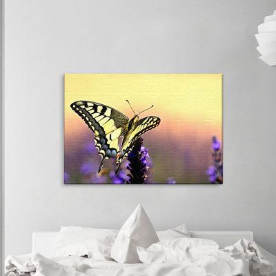 Print on Canvas