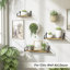 Schiffer 3 Piece Bracket Shelf-1784045140