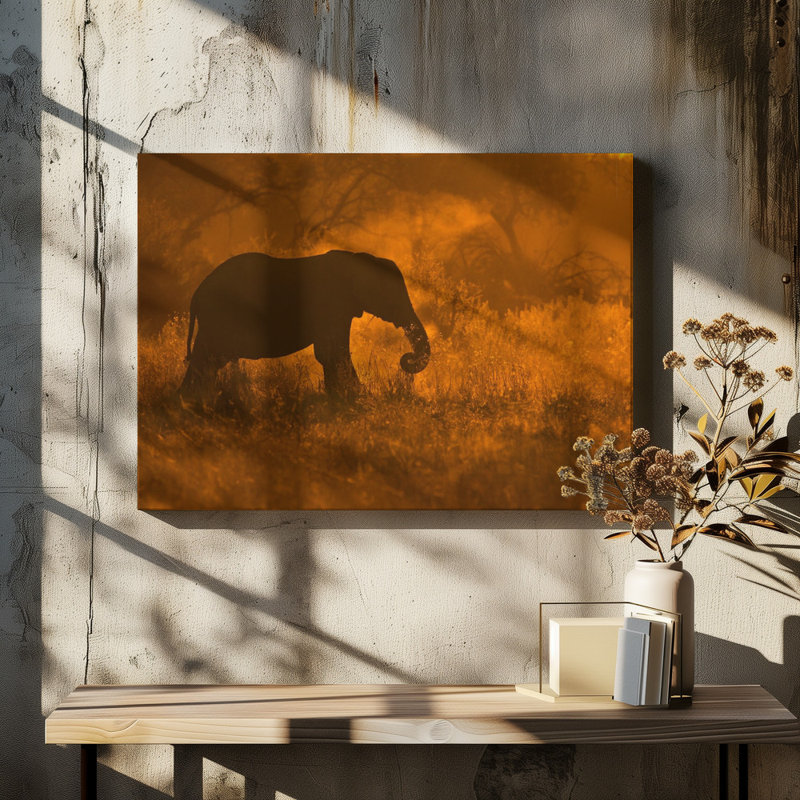 Elephant in Savute Canvas Print, 76.2 cm H x 50.8 cm W