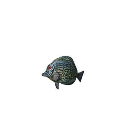 Discus Fish Statue