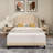 Saraphina Upholstered Platform Bed-1951276622-1951276720