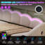 Upholstered Velvet Daybed-1573337161
