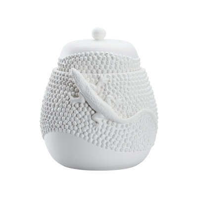 Anolis Canister - White
