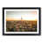 Black Framed