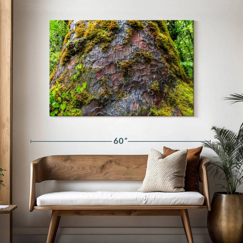 Mossy Kauri Tree, 32" H x 48" W