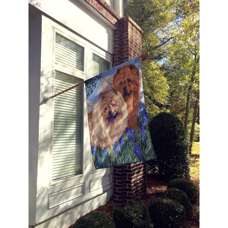 Drapeau de maison Hvidovre Sheltie Halloween en polyester à 2 faces 3 x 2 pi, Chow-chow dans un pré