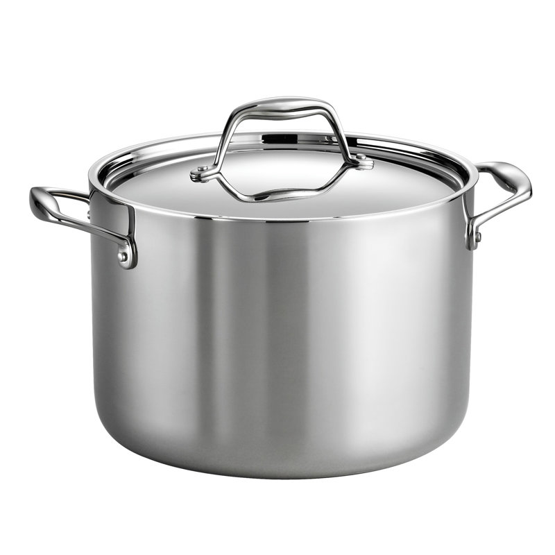 8-Quart Silver Stainless Steel Induction Stock Pot with Lid
