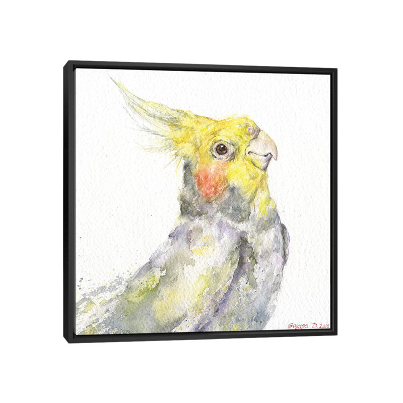 Art sur toile perroquet, Cadre noir, H 26 po x l 26 po x P 1,5 po