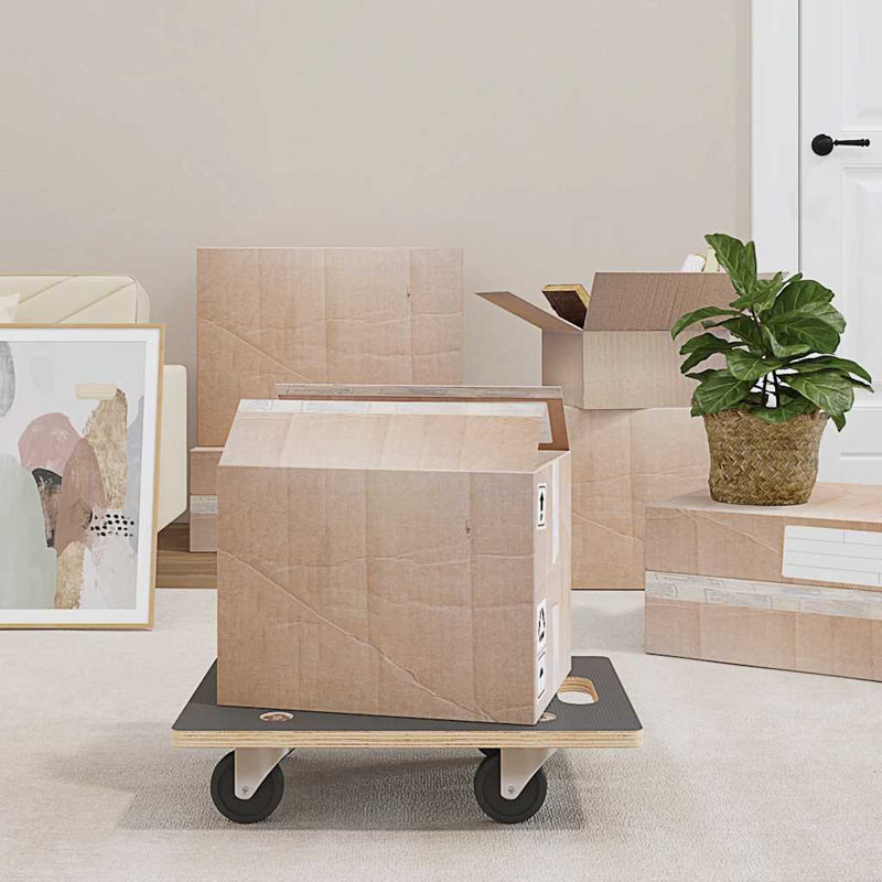 Ensemble de 2 chariots de transport WALPLUS rectangulaires 19,7 x 13,8 x 4,5 po, H 1,2 po x l 3,5 po x P 39,4 po