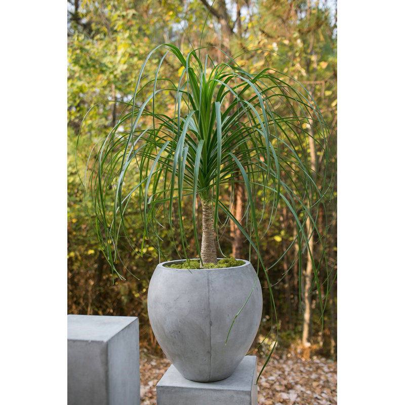 Berlin Handmade Planter